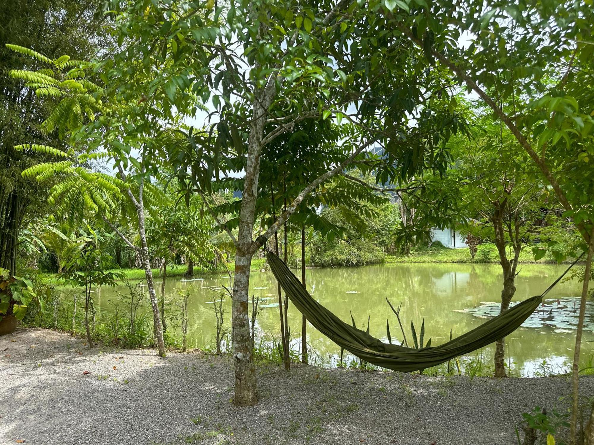 Baan Panmala Guesthouse - Ao Luek, Krabi Bagian luar foto