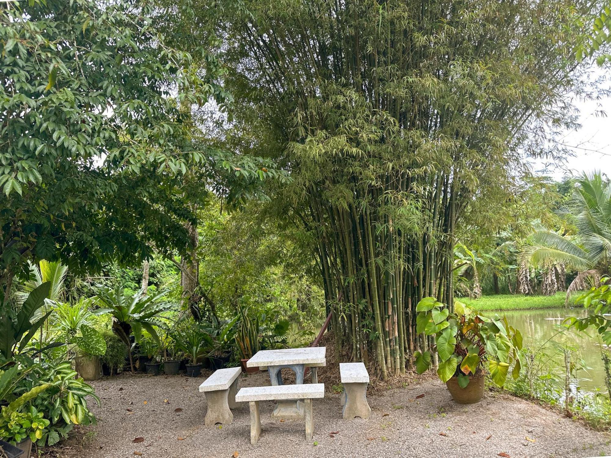Baan Panmala Guesthouse - Ao Luek, Krabi Bagian luar foto